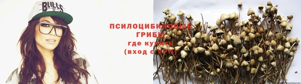 Альфа ПВП Усинск