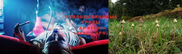 прущая мука Усмань