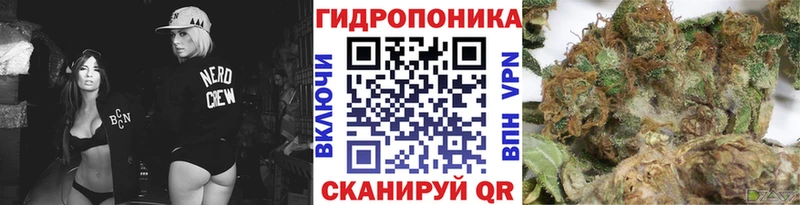KRAKEN рабочий сайт  наркотики  Великий Новгород  Шишки марихуана ГИДРОПОН 